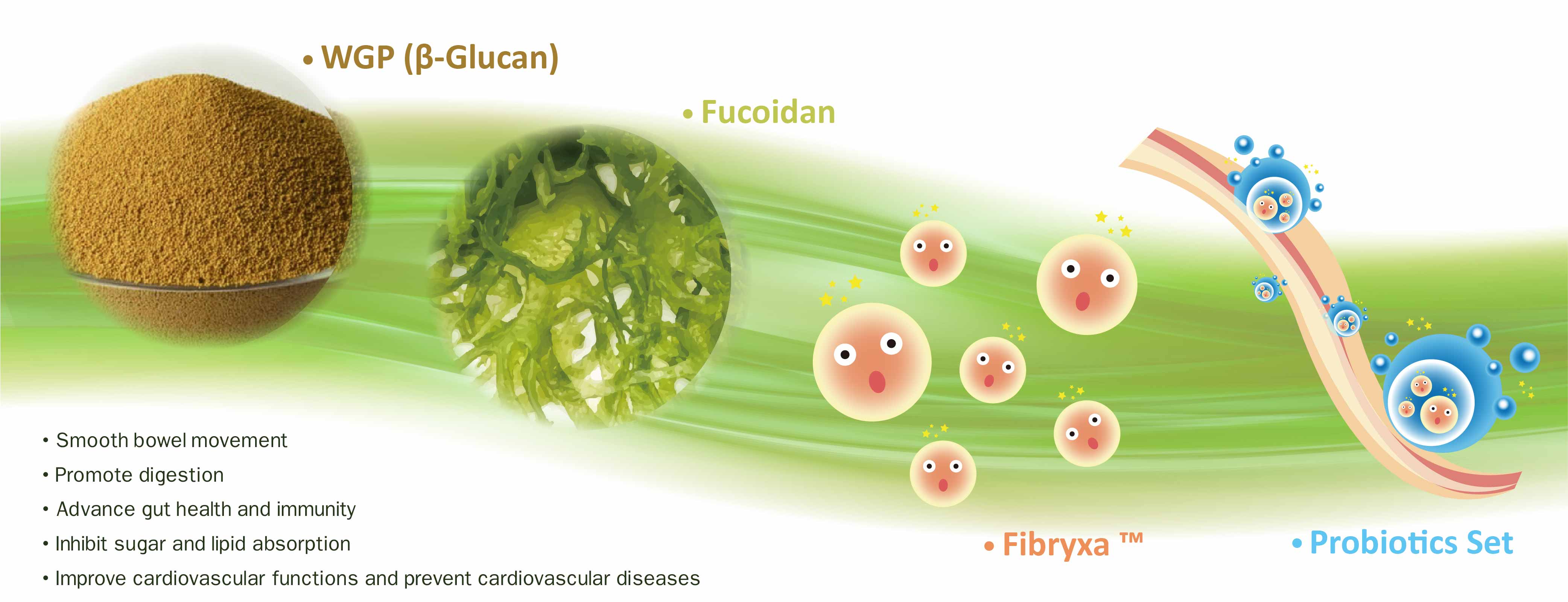 BetaGlucan capsule CEI Medical